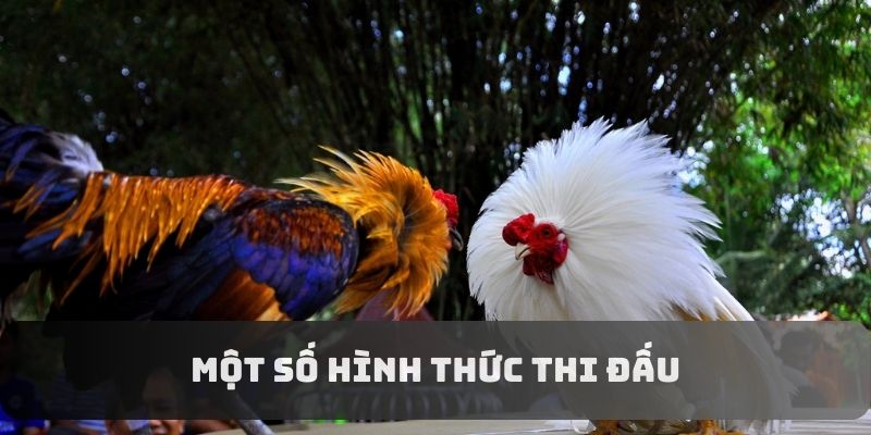 Điểm danh một số hình thức thi đấu nổi bật