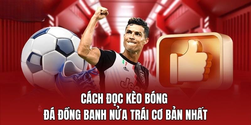 Cách đọc kèo bóng đá đồng banh nửa trái cơ bản nhất Cách đọc kèo bóng đá đồng banh nửa trái cơ bản nhất