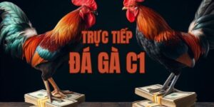 trực tiếp đá gà c1