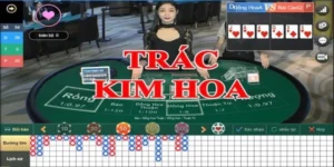 ảnh đại diện trác kim hoa